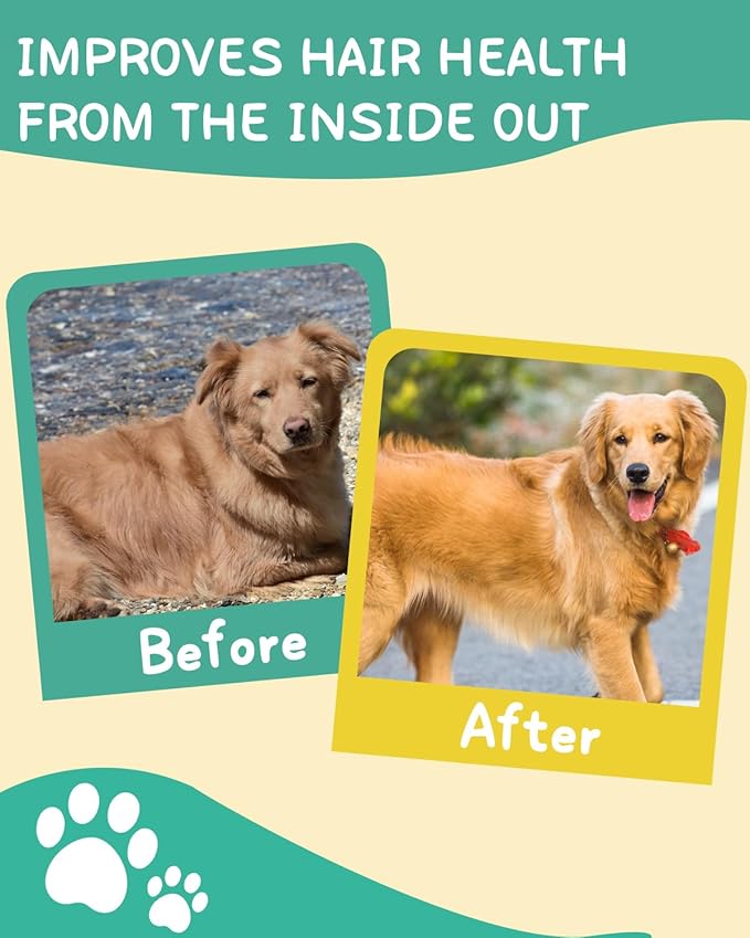 Omega 3 for Dogs - Dog Skin and Coat Supplement with EPA & DHA Fatty Acids- Fish Oil Chews with Salmon Oil & Vitamins - Itchy, Dry & Shedding Skin Relief- Chicken Flavor, 120 Chews