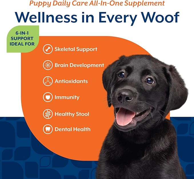 NaturVet All-In-One Puppy Daily Care, 6-In-1 Support Dog Soft Chews to Help Bones, Joints, Digestion, Teeth, Cognition, and More, Hickory Smoked Bacon Flavored Pet Supplement for Puppies, 60 Count Jar