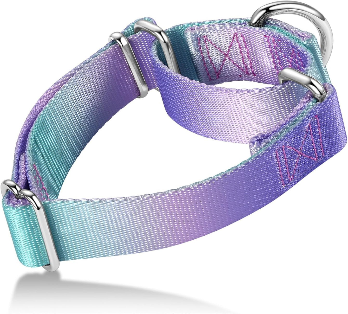 Martingale Dog Collar Colorful Gradient Fashionable - Anti-Escape Soft Durable Pets Collar for Walking Training Outdoor Daily Use -1 inch Wide XSmall, Purple Green