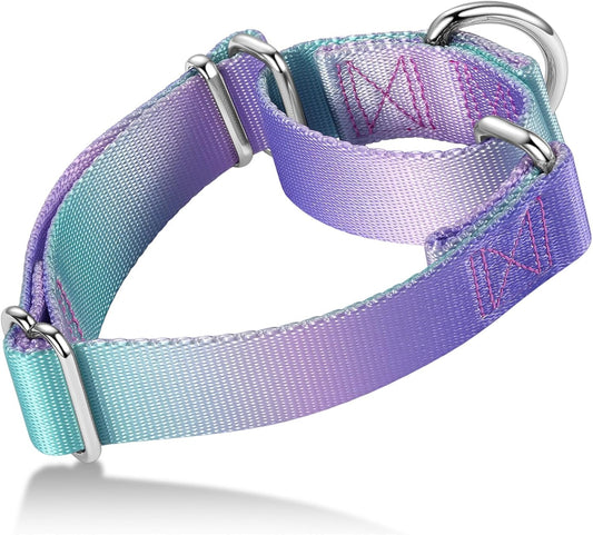 Martingale Dog Collar Colorful Gradient Fashionable - Anti-Escape Soft Durable Pets Collar for Walking Training Outdoor Daily Use -Small, Purple Green