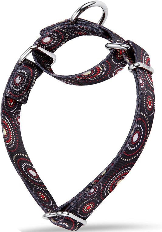 Martingale Dog Collars Colourful Oil Painting Pattern Series - No Pull Pet Collar Silky Soft for Medium and Large Dogs (Medium, 1 Inch Wide, Firework Dots -Black)
