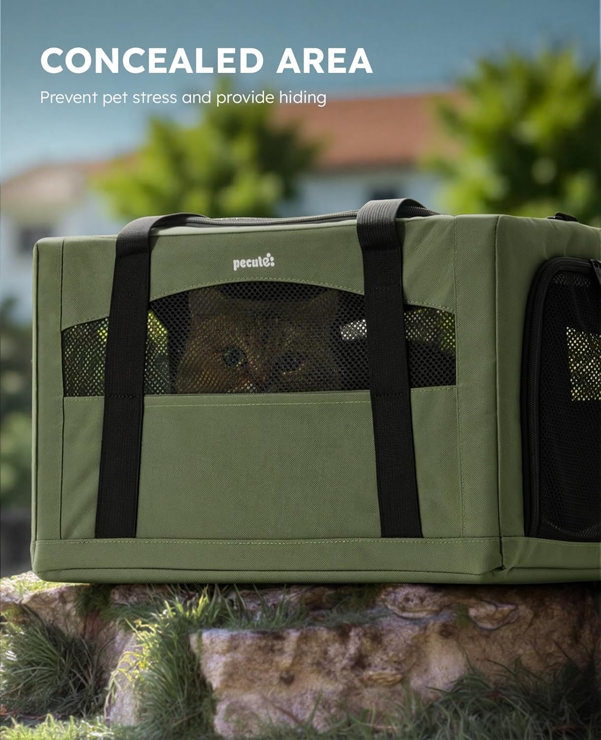 pecute Cat Carrier Stable, Pet Carrier Breathable and Portable, Cat Carriers Bag with Scientific Hidden Partition, Carriers for Cat Under 5kg, Dog Carrier Suitable for Travel and Outing, Green