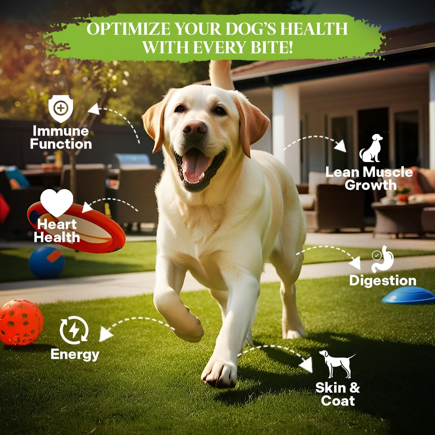 Healthy Dogma - Original PetMix - Grain-Free Human-Grade Food for Small and Large Breeds - for Dogs with Allergies (10 lbs)