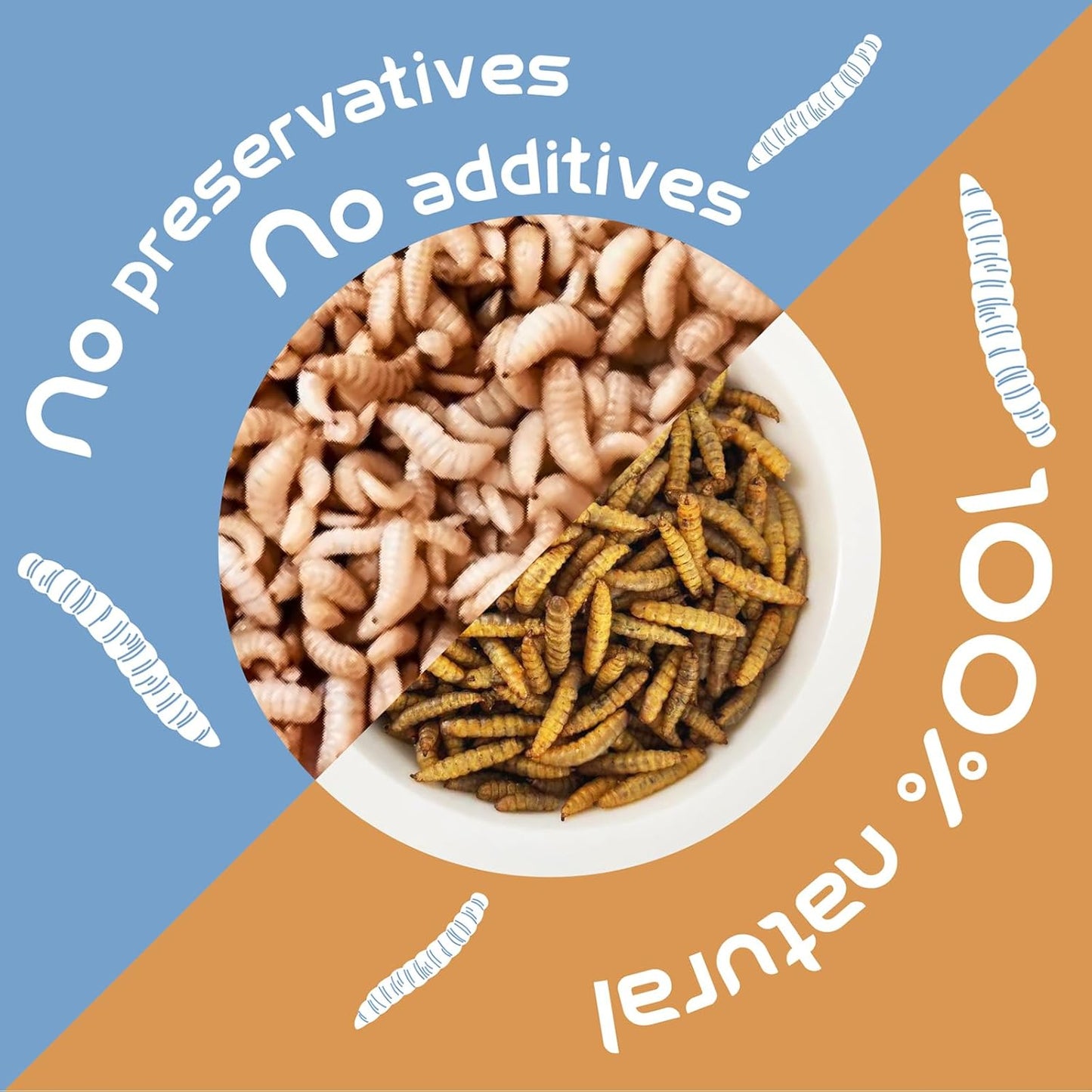 Dried Black Soldier Fly Larvae BSFL High-Protein Natural Pet Food for Lizards, Hamsters, Chickens & Ducks Pet Snack (1LB)