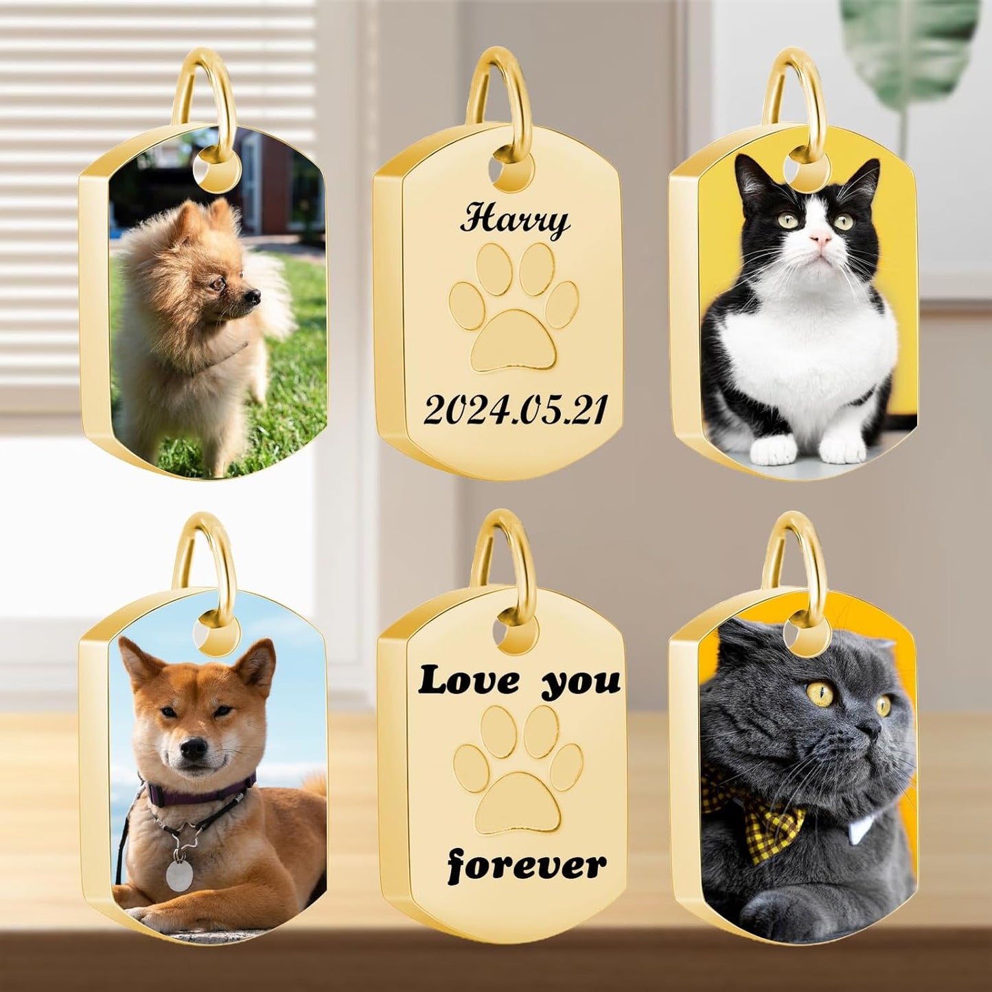 Personalized Pet Urn Necklace for Dog Ashes Custom Engraving Photo Text Pet Cremation Jewelry Customize Memorial Gift for Pet Dog Cat Ashes Necklace (05-Gold)