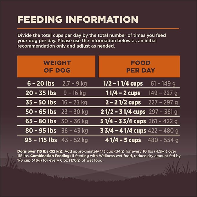 Wellness CORE Dry Dog Food, Grain-Free, High Protein, Natural, Original Turkey & Chicken Recipe, (12-Pound Bag)