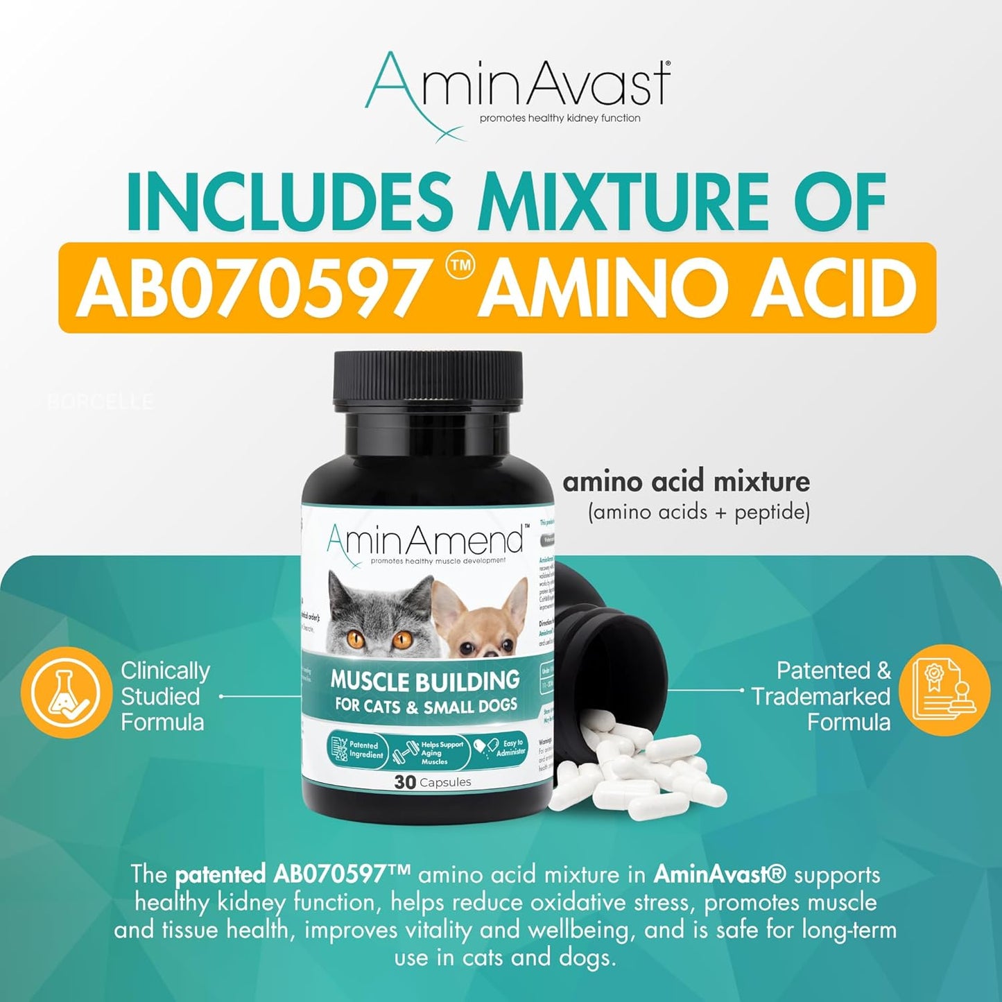 AminAvast Small Dogs & Cat Kidney Support - Promotes Healthy Kidney Support in Cats & Small Dogs - 300mg, 60 Capsule