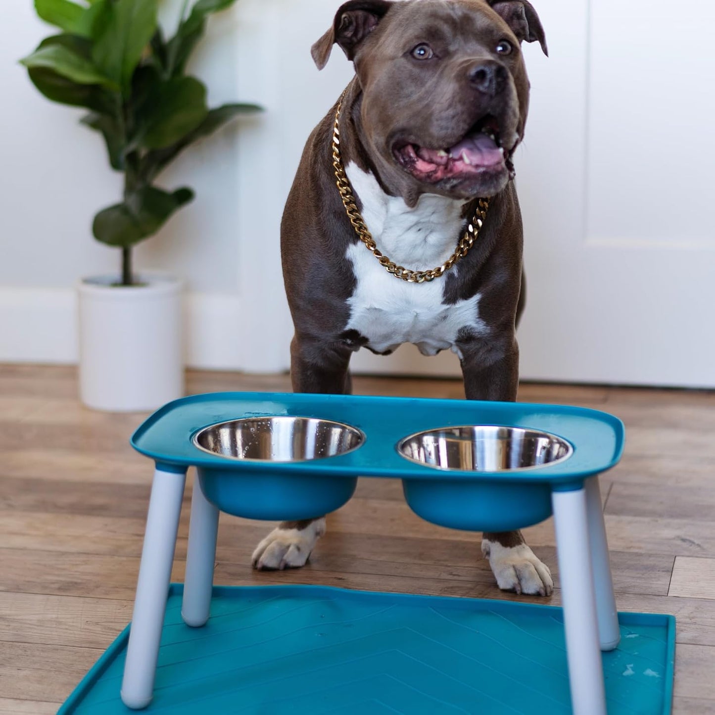 Messy Mutts Silicone Non-Slip Dog Bowl Mat with Raised Edge and Two Sides Reinforced with Metal Rods | Dog/Cat Bowl Mat with Spill-Proof Lip | Large, 24” x 16” | Blue