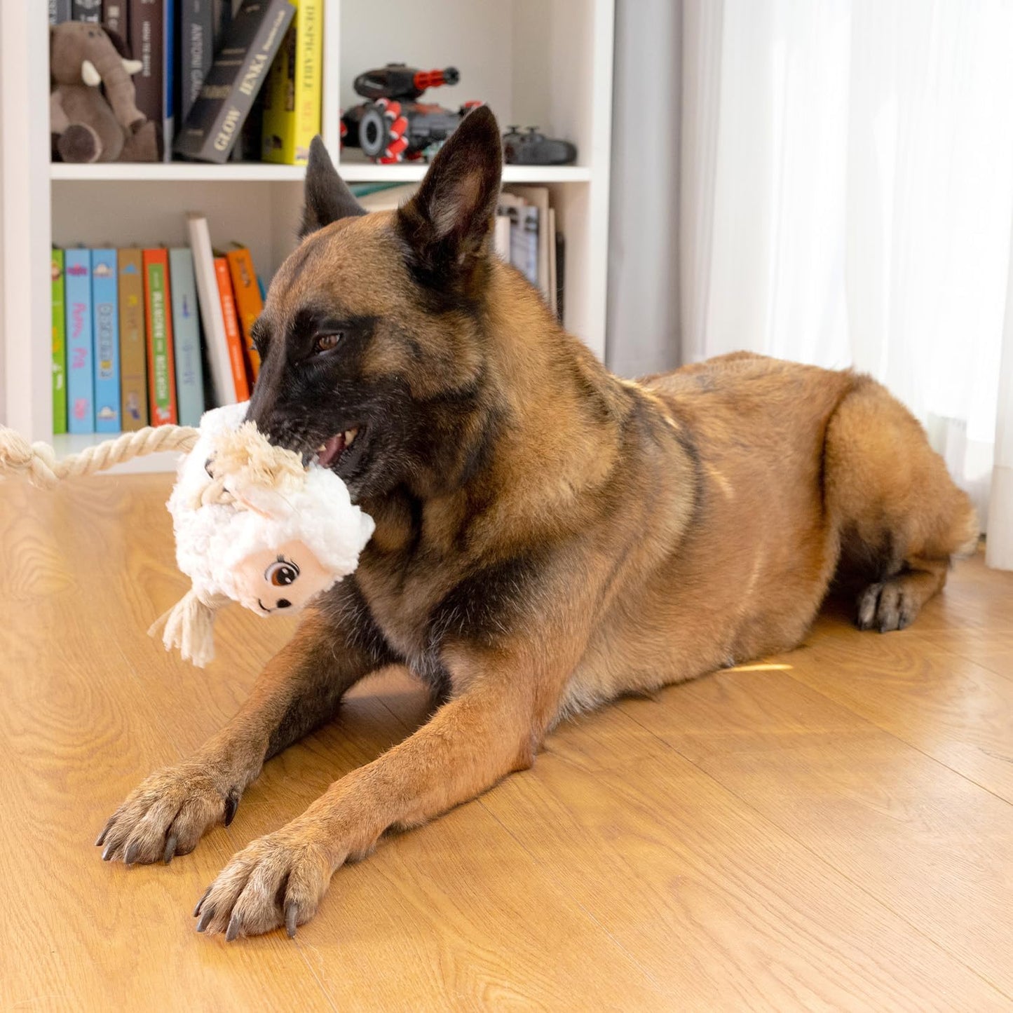 Large Dog Squeaky Toys, Stuffed Animal Dog Chew Toy, Durable Plush Toy for Puppy, Small, Middle, Large Dogs