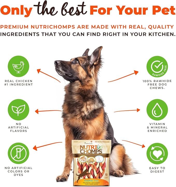 NutriChomps Dog Chews, 6-inch Braids, Easy to Digest, Rawhide-Free Dog Treats, Healthy, 10 Count, Real Chicken, Peanut Butter and Milk flavors