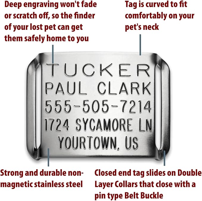 Dog Tag for Leather Collar - Boomerang Tags, Dog Tags for Thick Collars, Slide-on Engraved Pet ID Tag (Closed End Medium for 3/4 Inch Wide, Thick Nylon or Leather Collars with Belt Buckle)