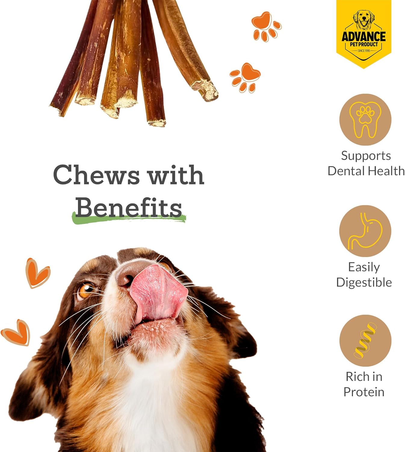 Advance Pet Products 6 Inch Bully Sticks (Pack of 5) - 100% Beef, Odor Free Dog Chews for Aggressive Chewers - Long Lasting, Gluten-Free, Easy to Digest, High Protein & Rawhide Free Chews for Dogs