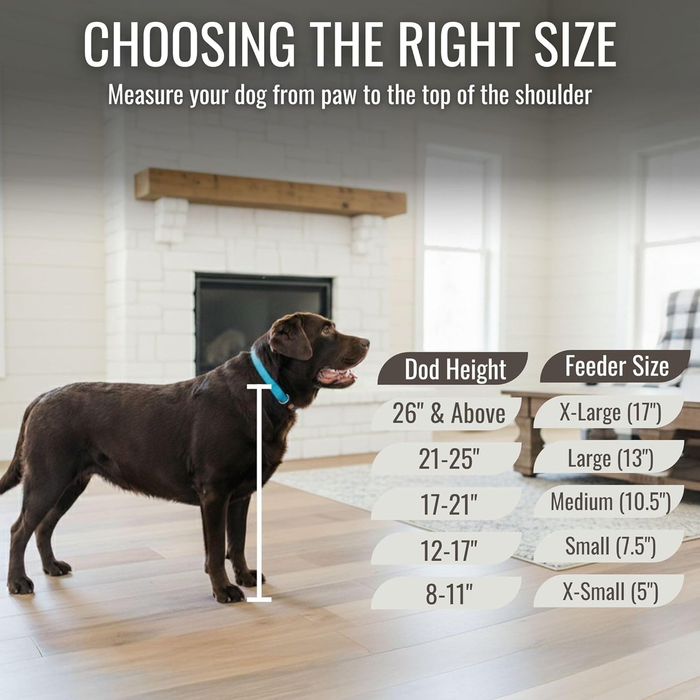 GrooveThis Woodshop - Personalized Elevated Dog Bowl Stand for Large, Medium, Small, X-Small Dogs - Stainless Steel Food and Water Bowls - Raised Dog Dish (X-Large, Grey)