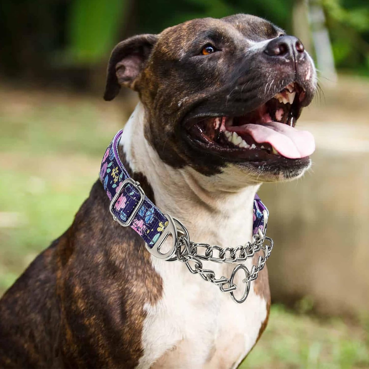 Martingale Dog Collar with Steel Chain, Adjustable Reflective Nylon & Soft Padded - for Medium, Large, XL, XXL Dogs for Training,Walking Pet Collar (Purple Flowers L)