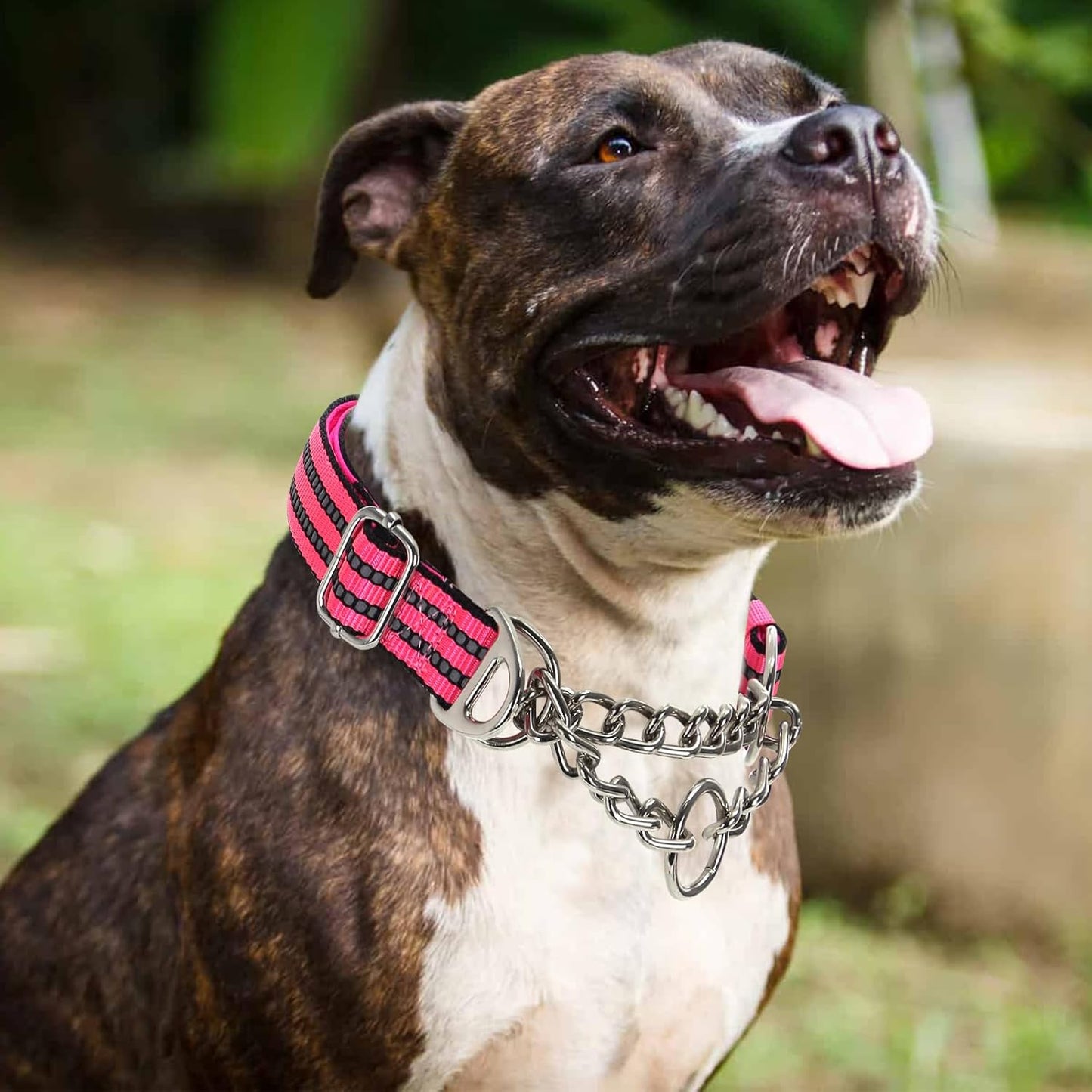 Martingale Collar for Large Dogs,Pink Reflective Collar with Night Safety Design for Large/Medium XL XXL Female Dogs Secure Pet Collars for Walking Training(Pink XXL)