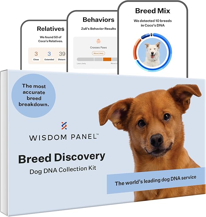 Wisdom Panel Breed Discovery Dog DNA Kit: Most Accurate Dog Breed Identification, Test for 365+ Breeds, MDR1 Health Test, Ancestry, Relatives