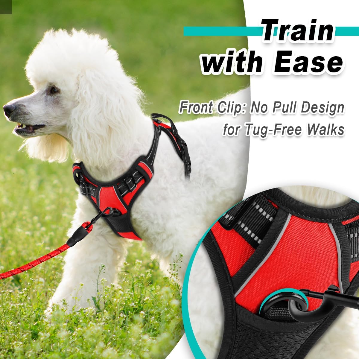 BARKBAY Dog Harness No Pull for Small Dogs - Adjustable, Reflective, Comfortable, No Choke, Heavy-Duty - Perfect for Outdoor Training, Walking, and Hiking - Strong & Durable - XS & Red