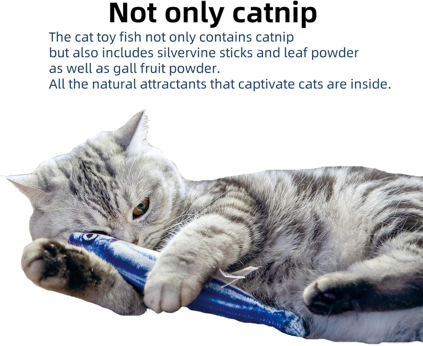 6 PCS Cat Fish Toy Soft and Durable,Cat nip Toy with Catnip Inside, Kicker Toys for Indoor Kitten Exercise,Kitty Teething Chew Toy (6 Sauries)