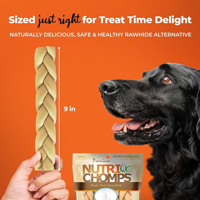 NutriChomps 9-inch Braid, Rawhide-Free Dog Treats, Easy to Digest, Healthy, 4 Count Milk