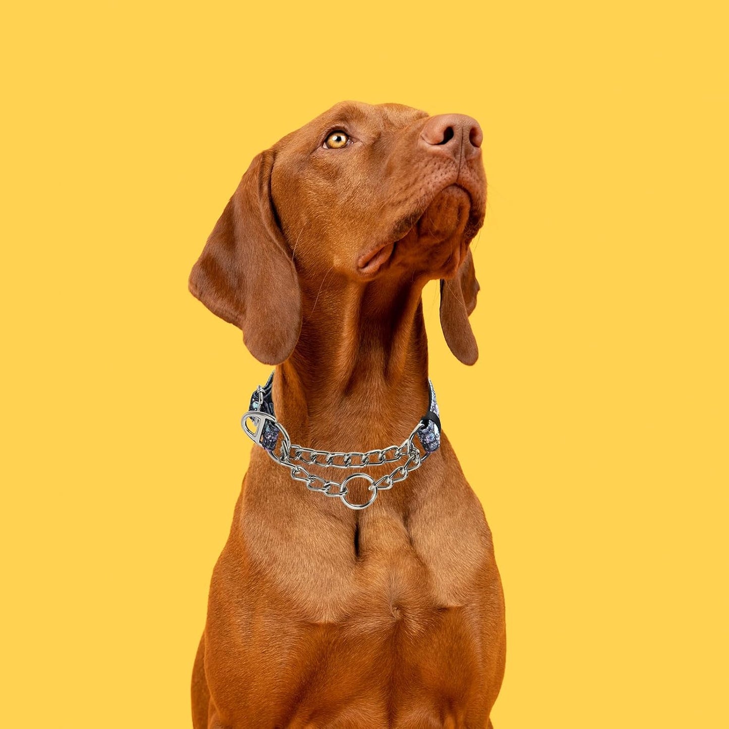 Choke Collar for Dogs，Stainless Steel Chain Collar Martingale, No Pull Slip Cinch Training Escape Proof Heavy Duty Dog Collar for Small Medium Large Pet Boy Male Dogs，Skull L