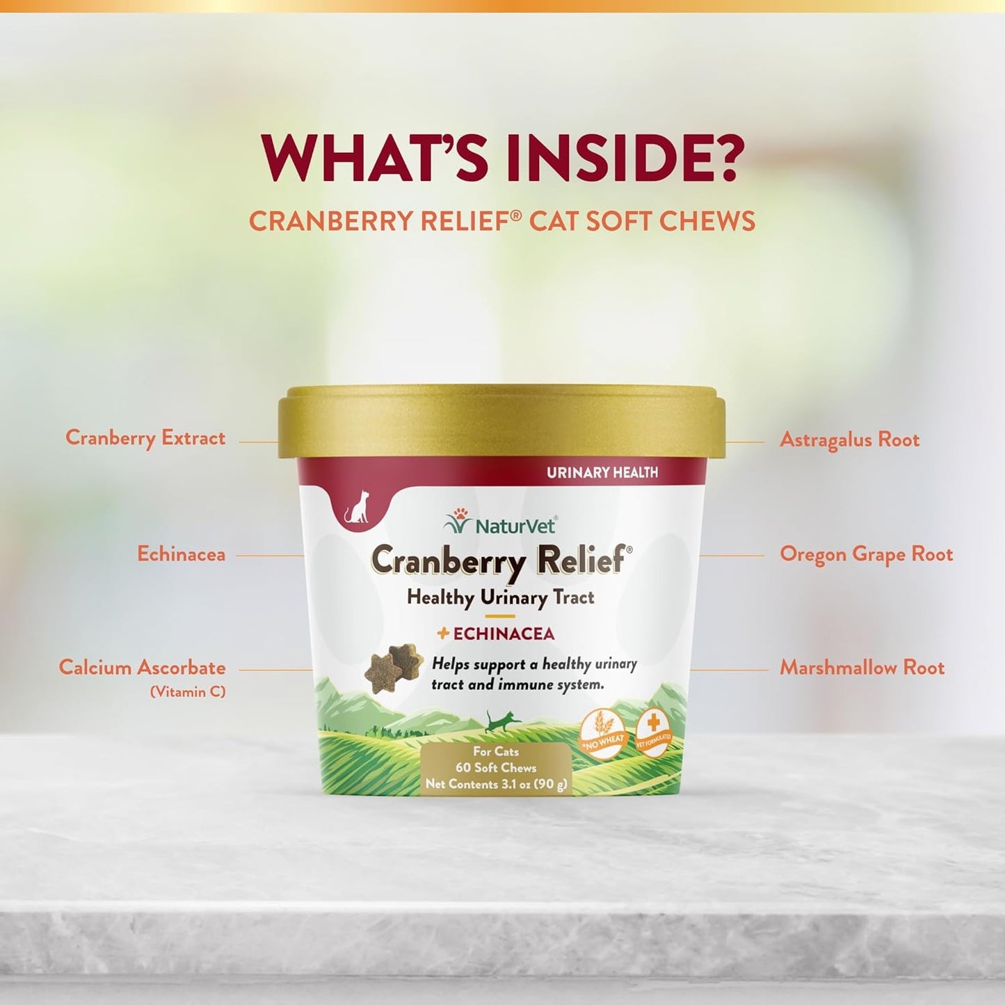 NaturVet Cranberry Relief Plus Echinacea for Cats, 60 ct Soft Chews, Made in The USA with Globally Source Ingredients