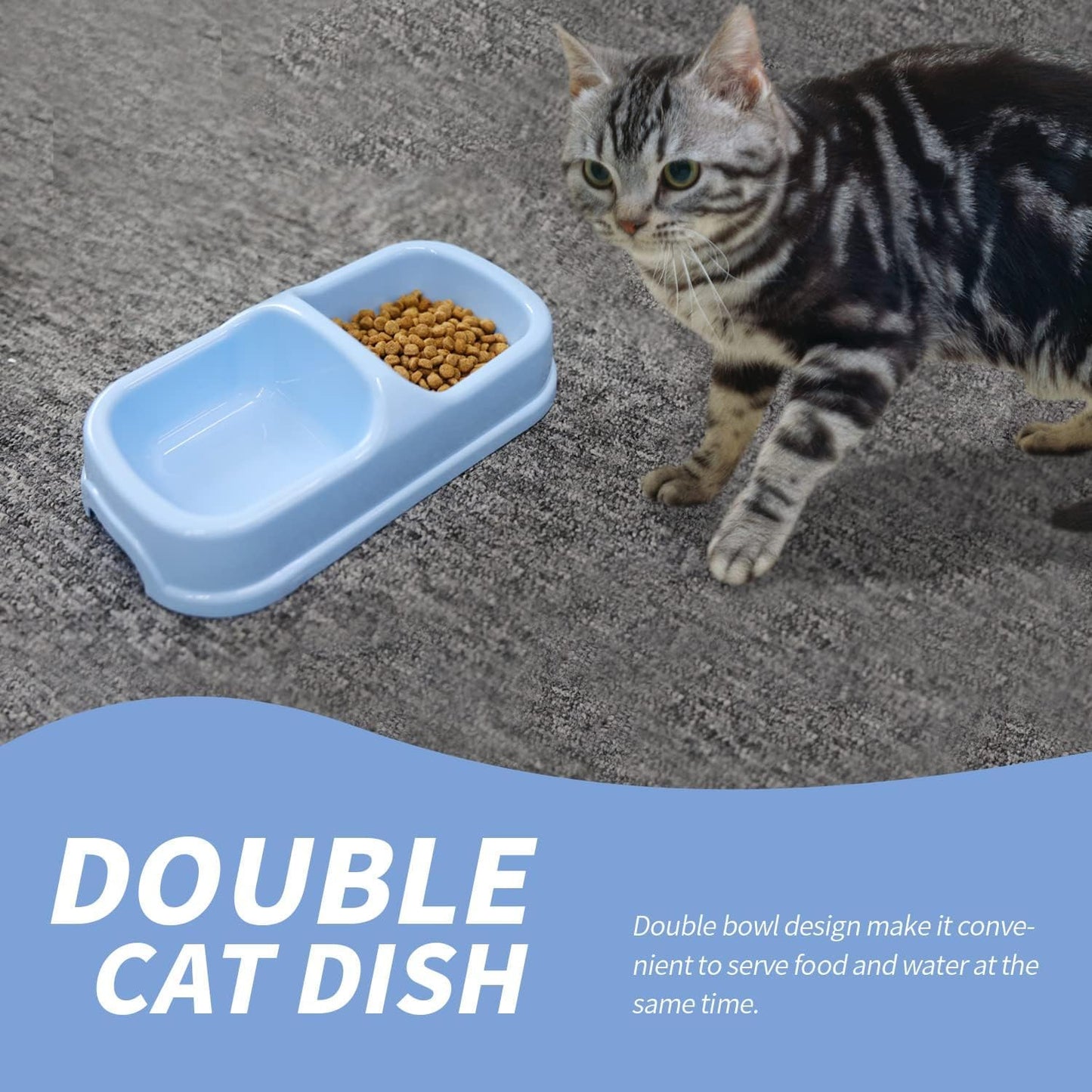 PAWISE Kitty Litter Box Set 5-Pieces - Shallow Cat Litter Pan, Cat Litter Scooper, Feeding Bowls, Kitten Starter Kit Mouse Toy, 14.5x10.5 Inches, Blue