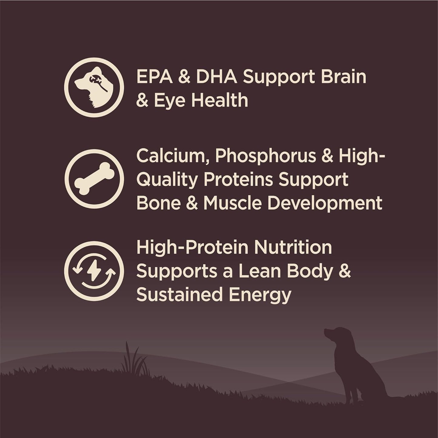 Wellness CORE Puppy Dry Dog Food, Grain-Free, High Protein, Natural, Chicken & Turkey Recipe, (12-Pound Bag)