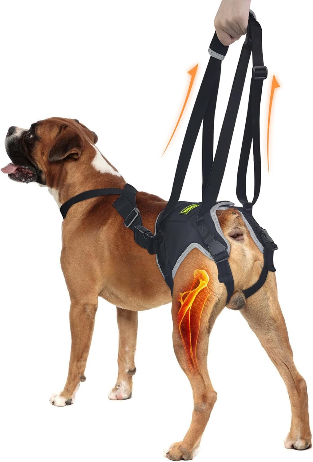 Dog Sling for Medium Dogs Hind Leg Support, Dog Sling for Back Leg Provides Support for Dogs with Joint Problems, Relieves Pain, Assists Walking, IVDD Dog Supplies with Reflective Material- M
