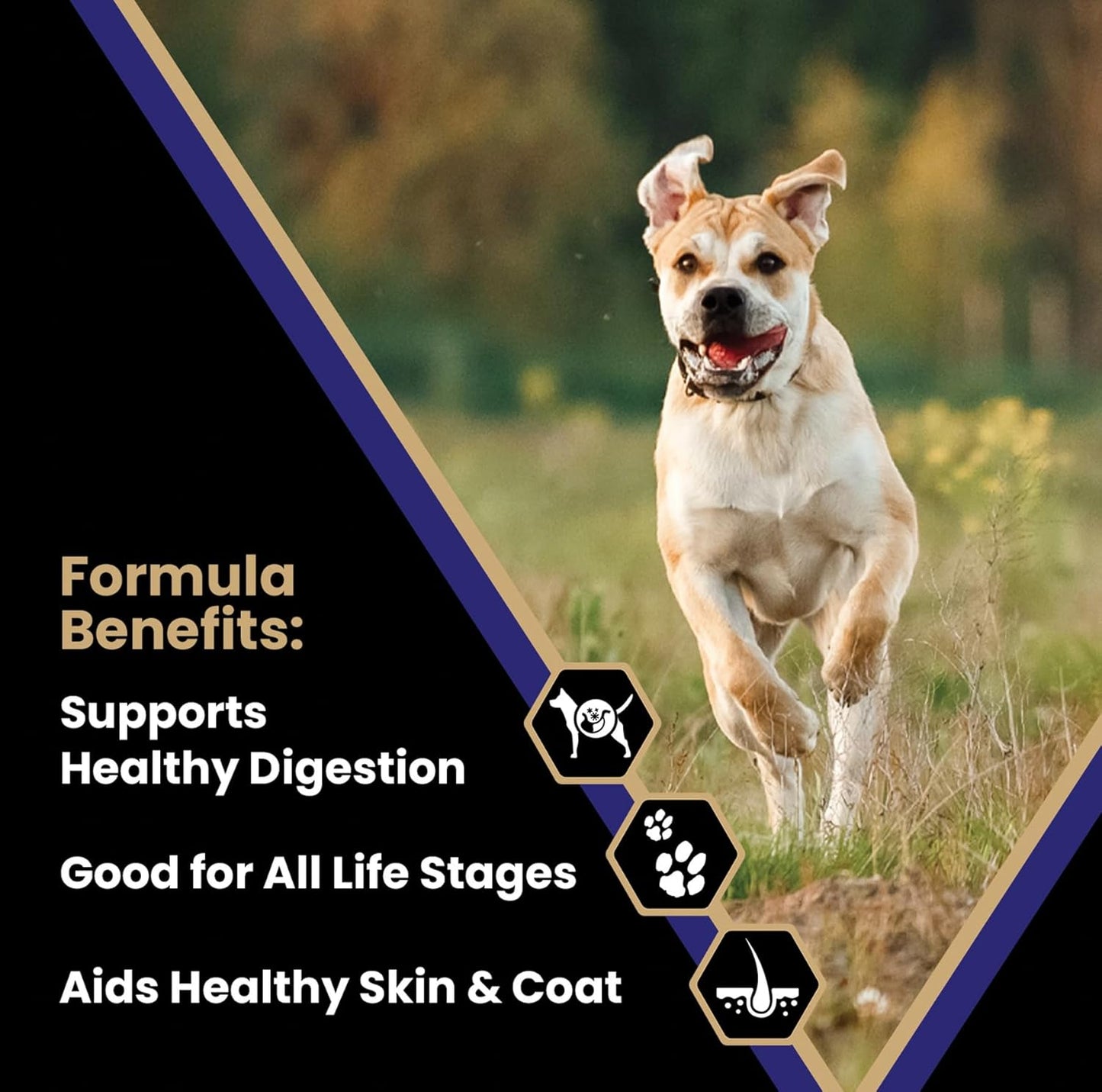 VICTOR Super Premium Dog Food – Select Beef Meal & Brown Rice Formula for Immune and Gut Health – Gluten-Free Beef Meal Dry Dog Food for All Normally Active Dogs of All Life Stages, 30 lbs