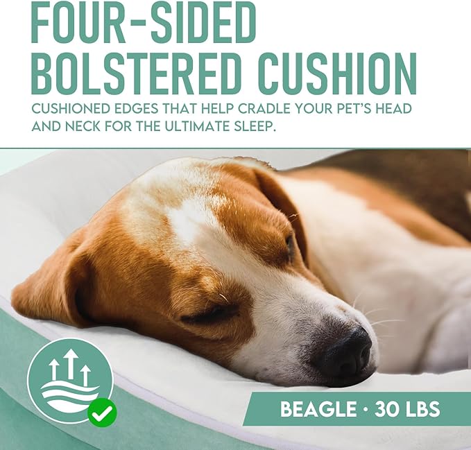 OhGeni Orthopedic Dog Couch Pet Sofa Large Sized Cat Beds with Comfort Foam Support, Soft Comfortable Fabric, Machine Washable Waterproof Removable Cover, 35-Inch (Turquoise)