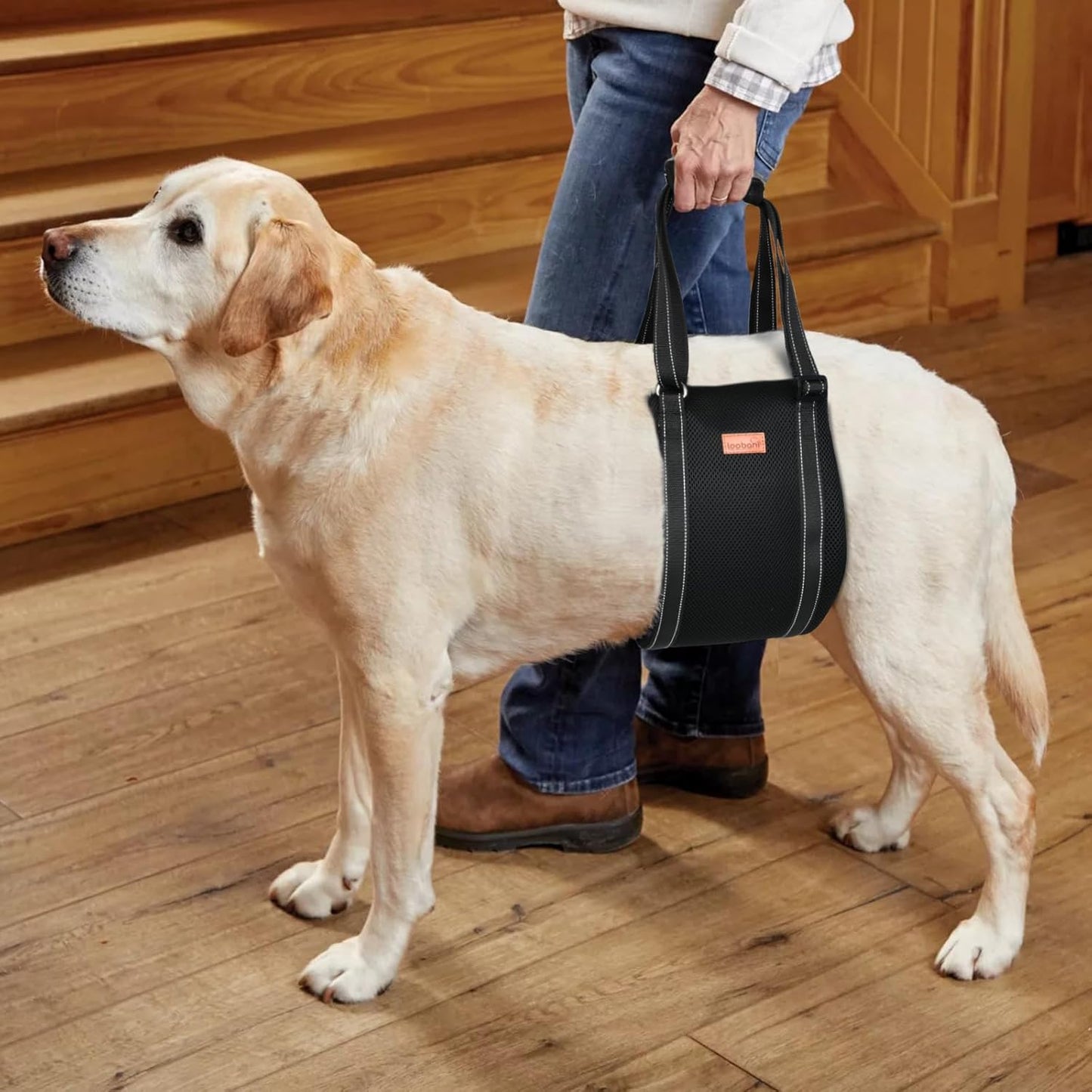 LOOBANI Portable Dog Sling for Back Legs, Hip Support Harness to Help Lift Dogs Rear for Canine Aid and Old K9 Cruciate Ligament Rehabilitation