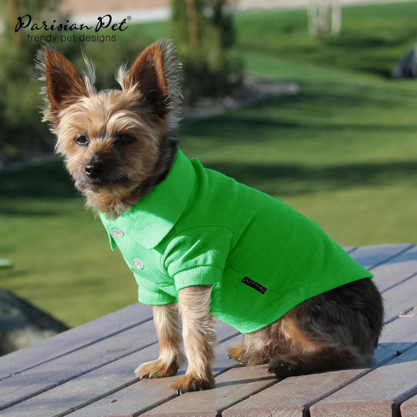 Parisian Pet Dog Polo Shirts - Breathable Cotton Shirt - Solid Green, Summer Pullover - Button Up Collar, 2XL