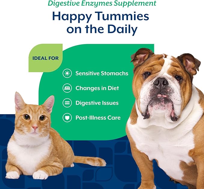 NaturVet – Digestive Enzymes for Dogs - Plus Probiotics & Prebiotics | Helps Support Diet Change & A Healthy Digestive Tract | for Dogs & Cats | 4 oz Powder