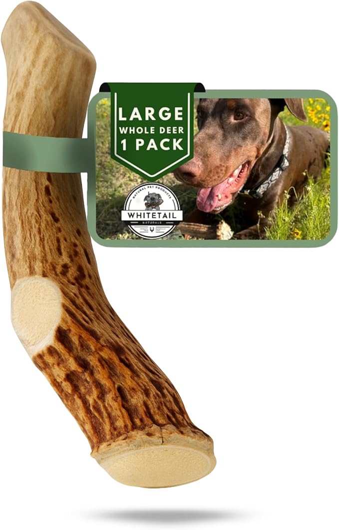 WhiteTail Naturals - Deer Antlers for Large Dogs - Long Lasting Antler Dog Chews - Crafted in USA, Naturally Shed Antler Dog Bones for Aggressive Chewers (Large (Pack of 1))
