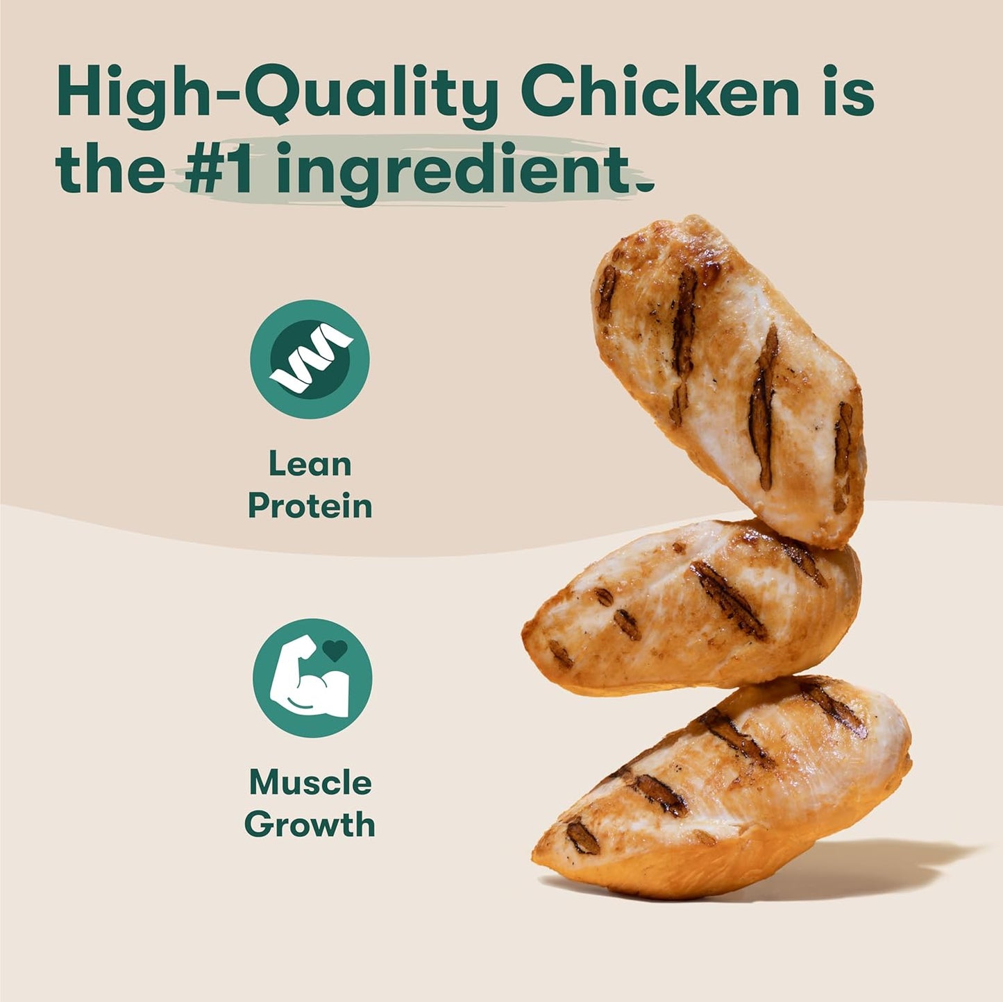 Jinx Oven-Baked Chicken Bone Broth Biscuit Dog Treats - Crunchy, All Natural, Superfood-Rich with Cage-Free Chicken, Dog Biscuits for Puppies, Adults & Seniors - 16oz