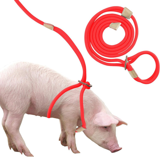 Mini Pig Harness & Leash, Adjustable 8 Feet Long Rope for Small to Medium Pet Pigs