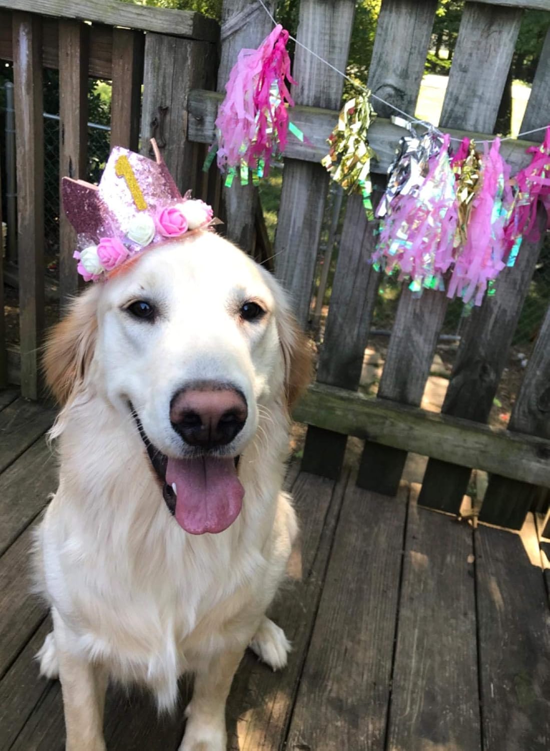 PET SHOW Pink Crown Dog Birthday Party Hat for Girls Reusable Birthday Party Cat Kitten Headband with 0-9 Figures Charms Grooming Accessories with Glue Pack of 1