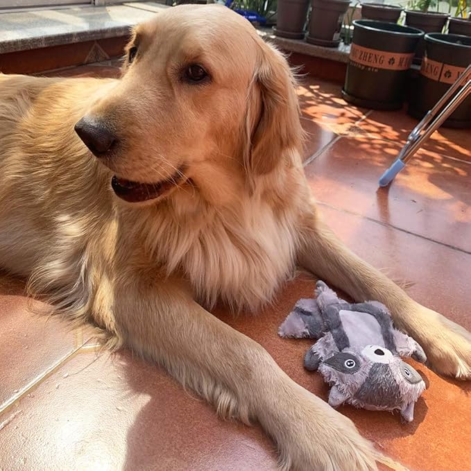 Jalousie Multipack Dog Squeaky Toys Strong Almost Indestructible, with Added Liner for Longer Play Dog Chew Toys (3 Pack - XLarge)