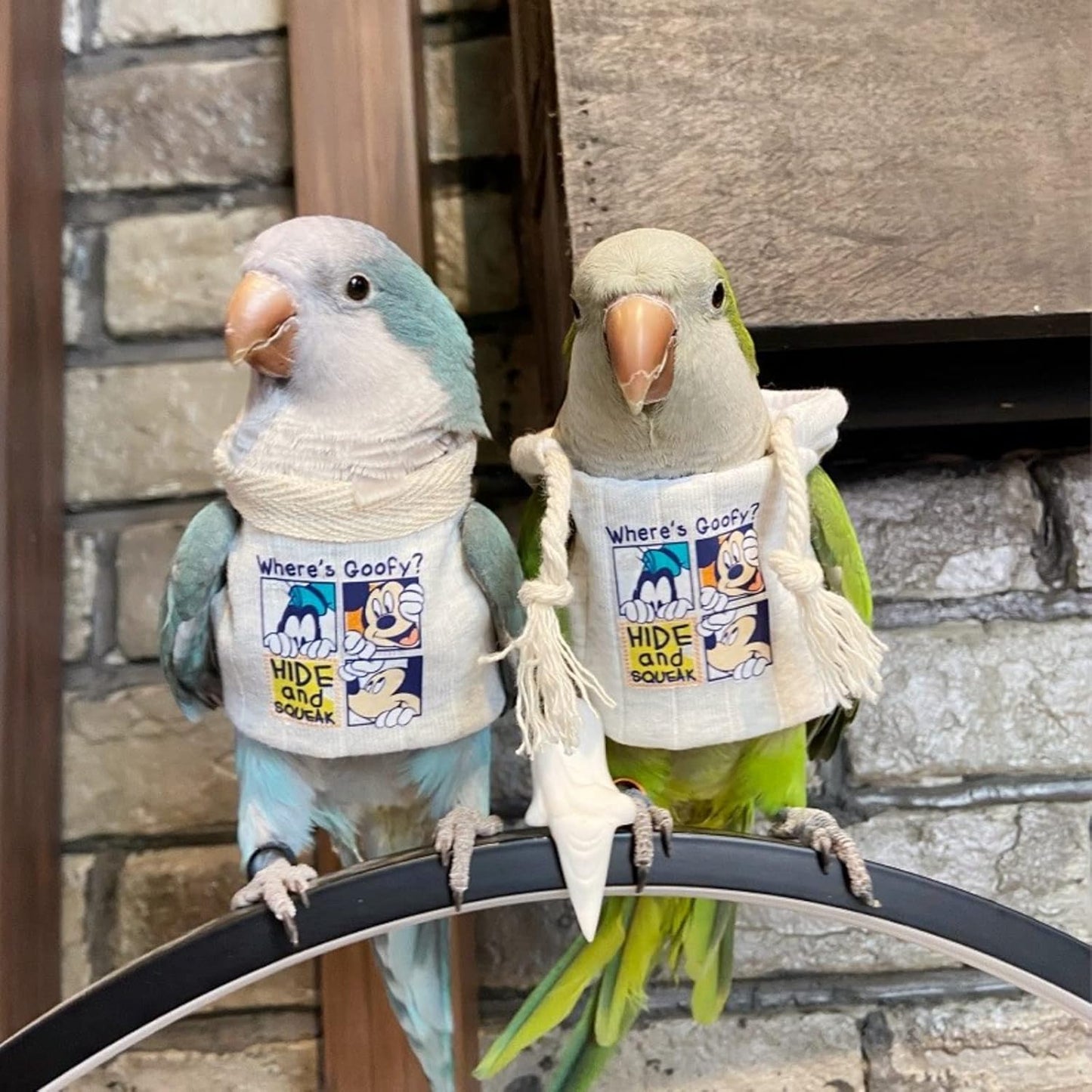 Bird Diaper Flight Suit Frog Shape Hoodie Clothes Cosplay Photo Prop for Parrots Parakeet Cockatiel Sun Conure, Small Animals Apparel (White With Hat, Small)