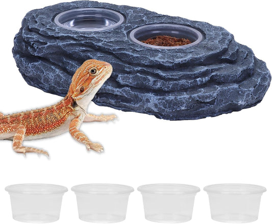 AIICIOO Crested Gecko Feeding Ledge Strong Magnetic Pet Food Bowl and Water Dish with 6 Pack Plastic Reptile Food Cups for Frog Chameleon Tortoise Lizard Pets