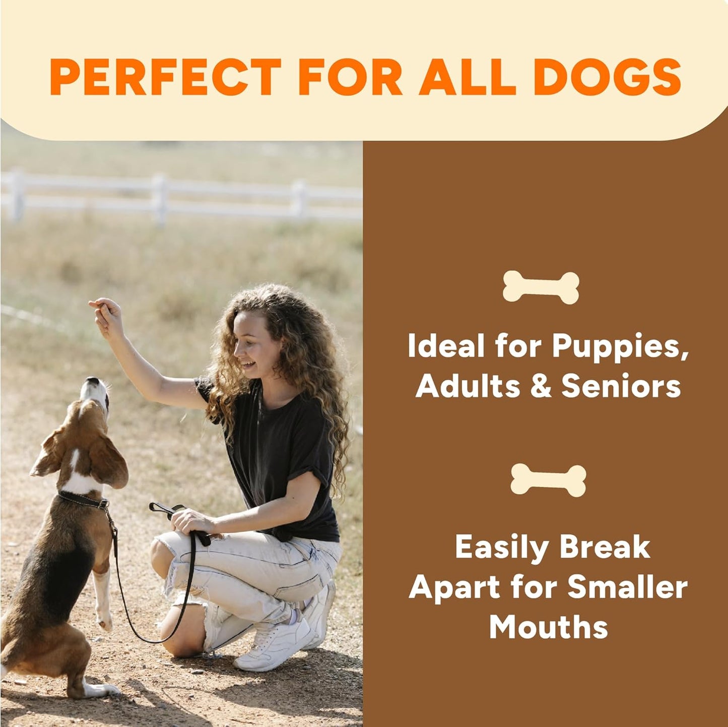 Gaines Family Farmstead Peanut Butter Coated Sweet Potato Dog Bones – 8 oz Bag, Grain-Free, Chewy, Natural Dog Treats for Digestion, Skin, Energy & Immunity – Limited Ingredient, Made in USA