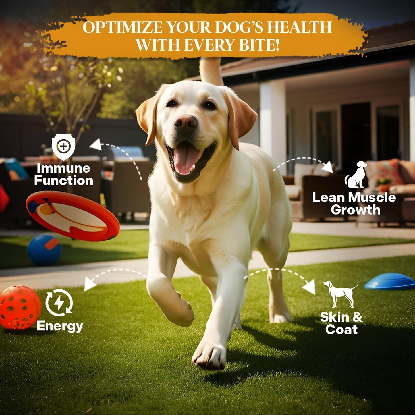 Healthy Dogma - PetMix Dehydrated Dog Food - Beef Dinner - Raw Food - Gluten Free, Clean Ingredient Food - No Preservatives, Homemade Dog Food Beef Recipe (2 lbs)