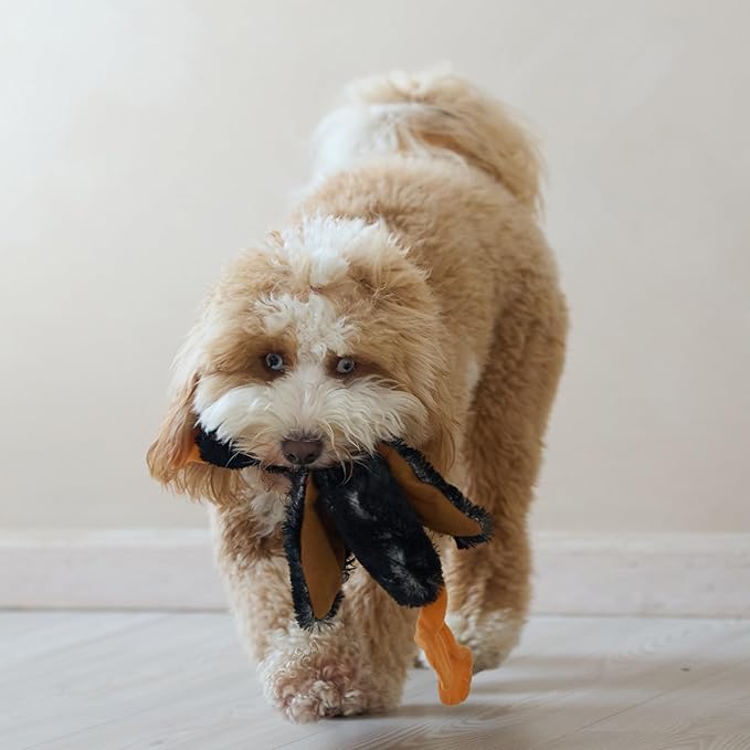 SPOT Skinneeez Mini Mallard Duck 13 Inch Stuffing-Free Plush Squeaky Dog Toy – Soft Interactive Toy for Small and Medium Dogs – Mess-Free Play for Light & Moderate Chewers – Assorted Styles