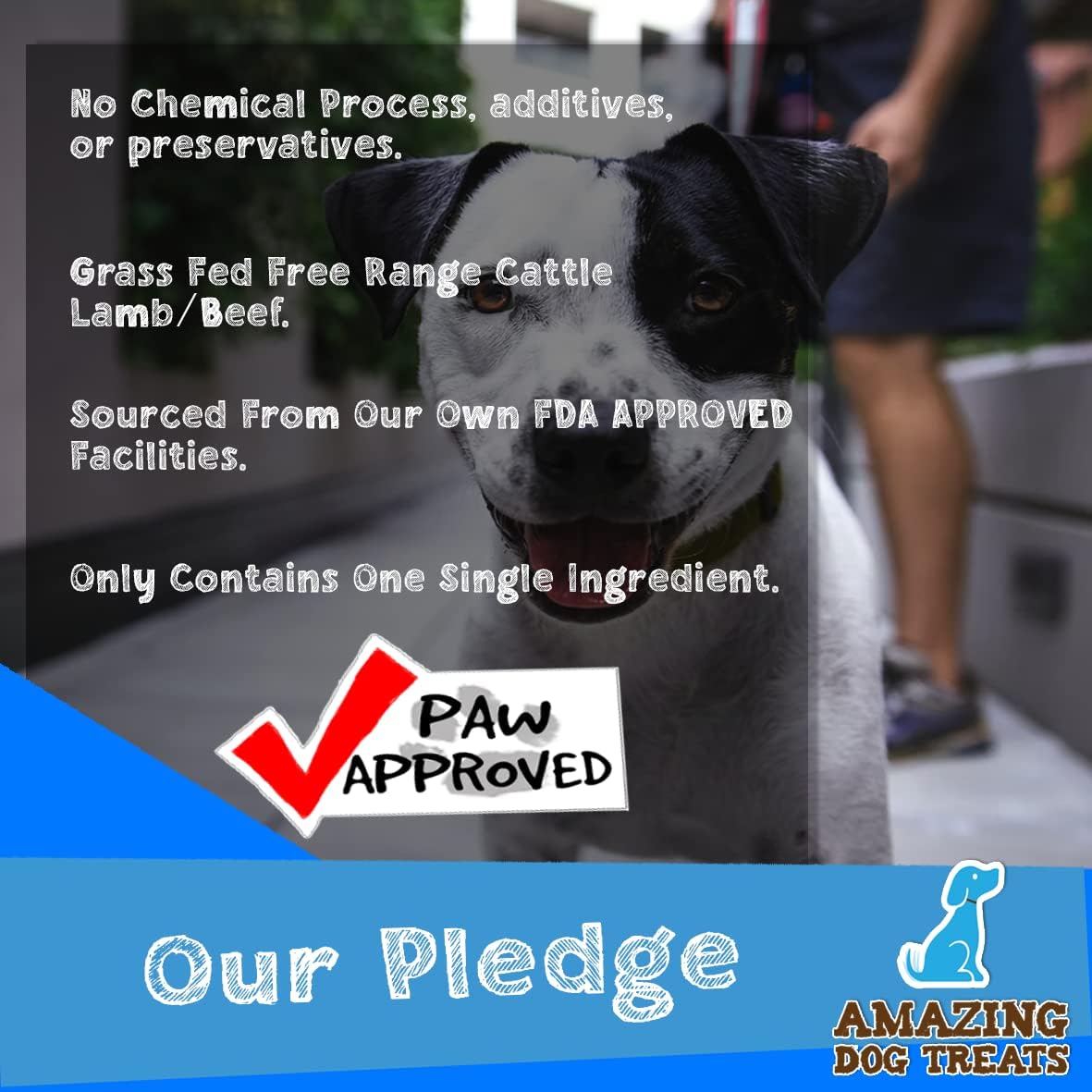 Amazing Dog Treats - Beef Cheek Braids Dog Chew (6 Inch - 15 Pack) - NO Odor - Rawhide Alternative - Beef Cheek Slice Chip Sticks - No Dyes, Chemicals, or Preservatives