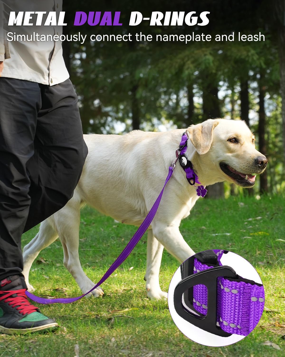 Joytale Airtag Dog Collar, Reflective Pet Collar with Waterproof AirTag Holder, Dual D-Rings, Soft Padded Adjustable for Medium Dogs, Purple, M