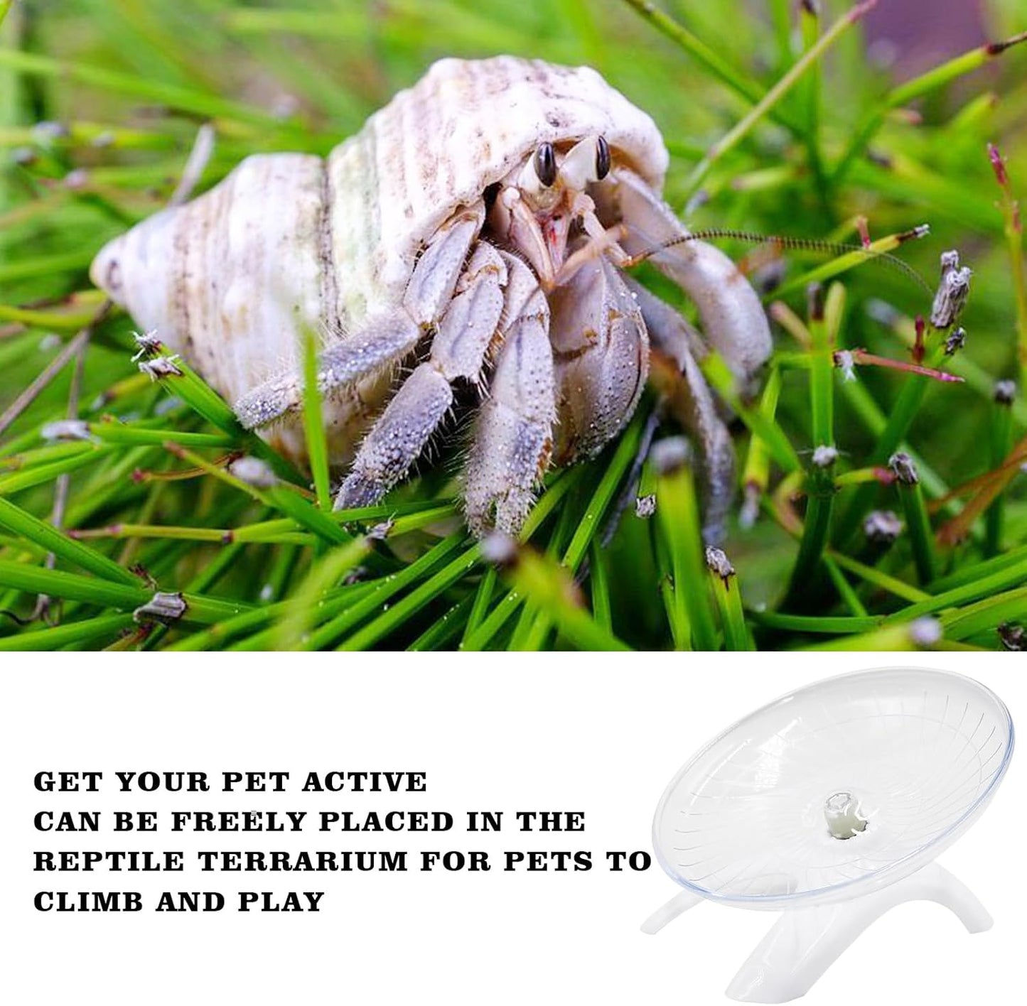 Hermit Crabs Wheel Toy, Hamster Running Wheel Toys, Small Animals Cage Accessory, Tank Accessory, Suitable for Hermit Crab Hamster Rat