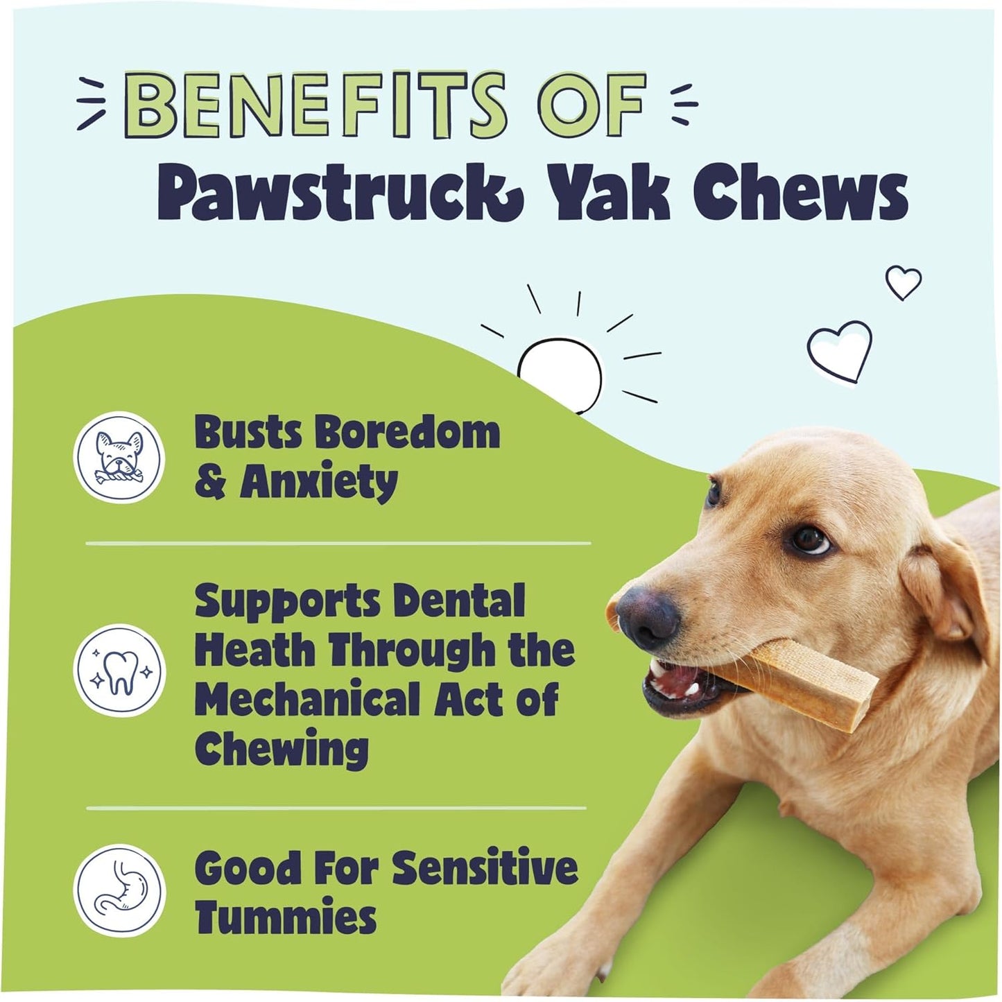Pawstruck Large Yak Dog Chew (6-7 oz) - Natural Himalayan Yak & Cow Milk/Cheese Long-Lasting, Jumbo Treat for Dog, Best XL Thick Chew Stick - 5 Pack