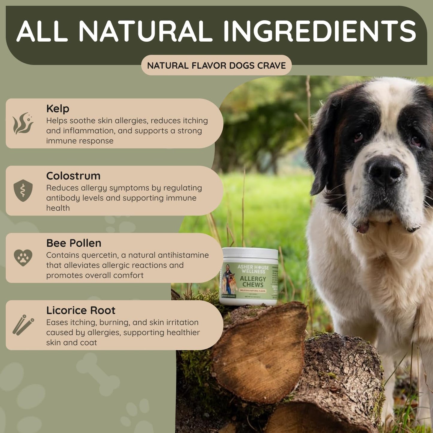 Asher House Wellness Dog Allergy Chews - All-Natural Itchy Skin Relief for Dogs with Bee Pollen, Colostrum - Licking Paw Treatment, Allergy Medicine for Dogs Over 12 Weeks, 120 Chews