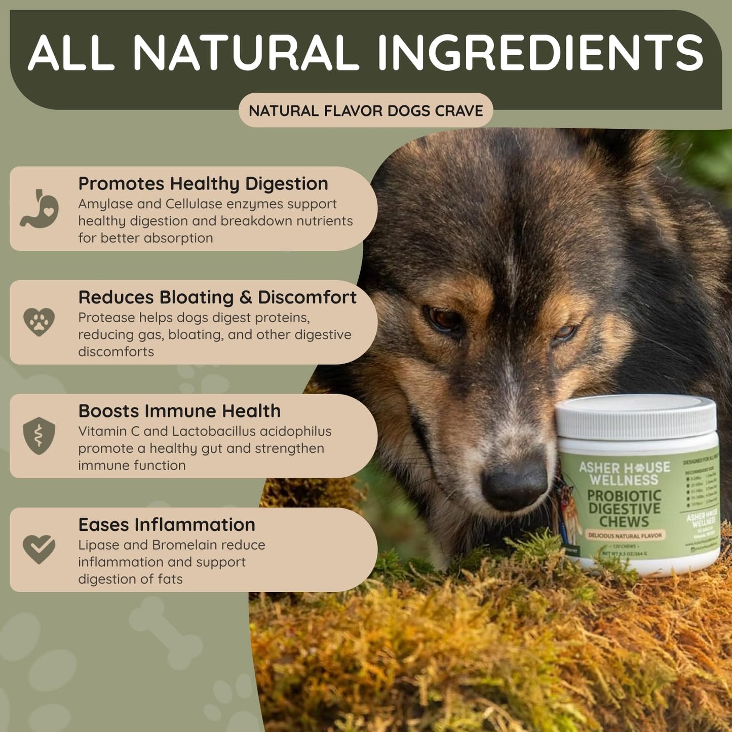 Asher House Wellness Probiotics Digestive Chew for Dogs - Dog Probiotic, Digestive Enzymes for Gut Health & Digestion - Pet Chews for Diarrhea, Upset Stomach, Allergies, Itchy Skin Relief, 120 Chews