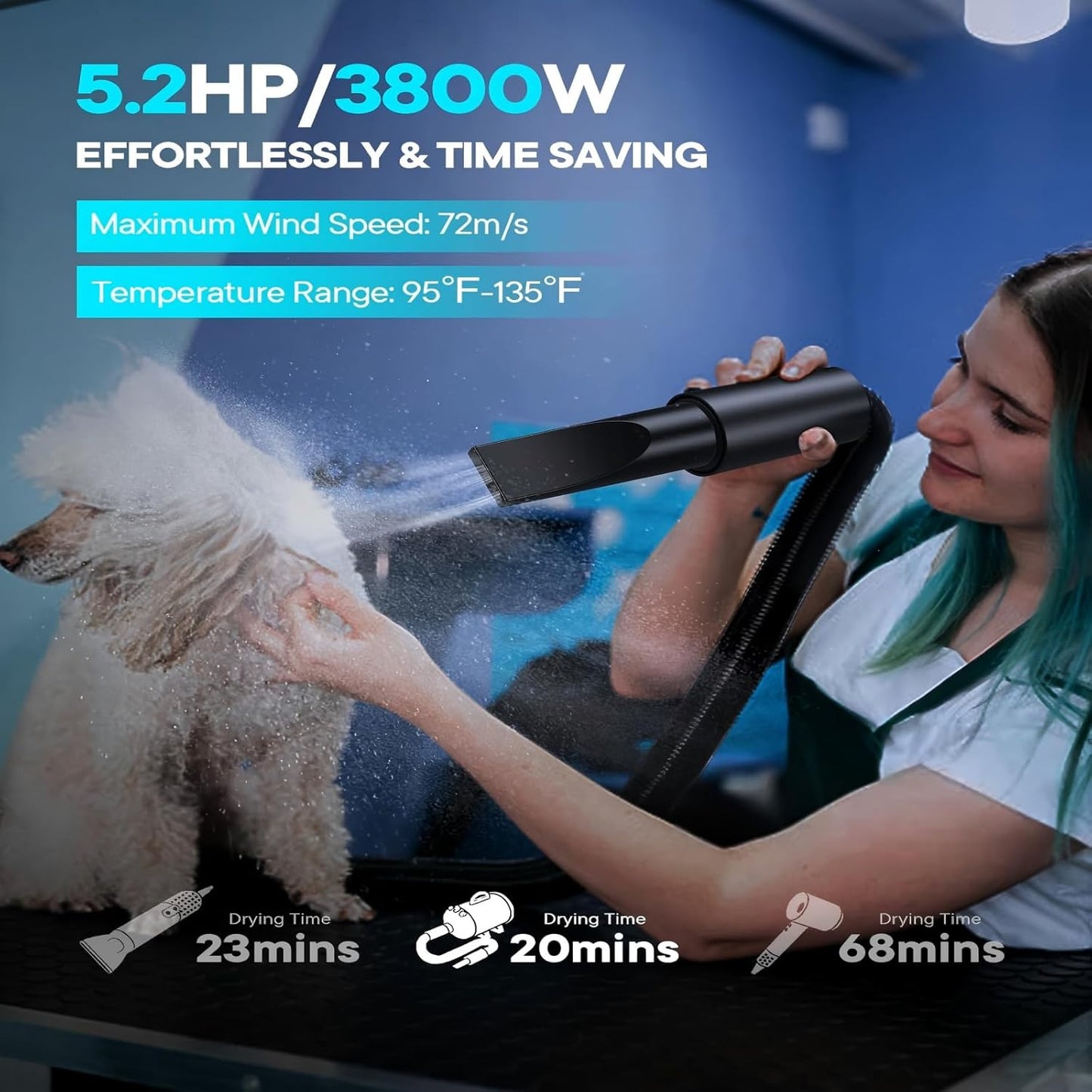 Dog Dryer, 5.2HP/ 3800W Pet Grooming High Velocity Force Blower with 4 Nozzles, Adjustable Speed and Temperature Dog Hair Dryers for Grooming